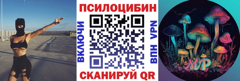 кракен как зайти  Саров  Псилоцибиновые грибы Cubensis  закладка 